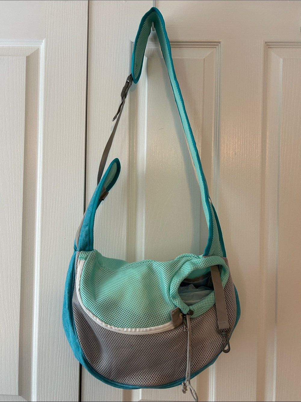 Teal Sling Shoulder Bag Pet Carrier